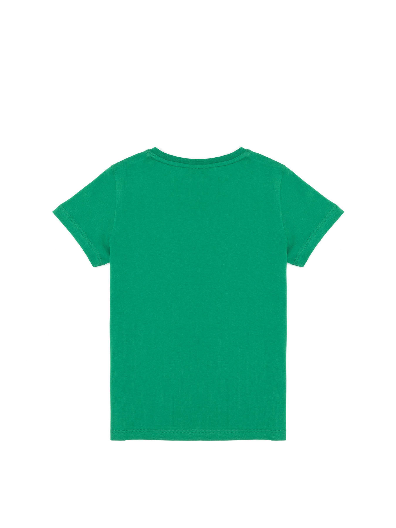 Футболка US Polo модель G083SZ011.000.1574147.VR054 Фото