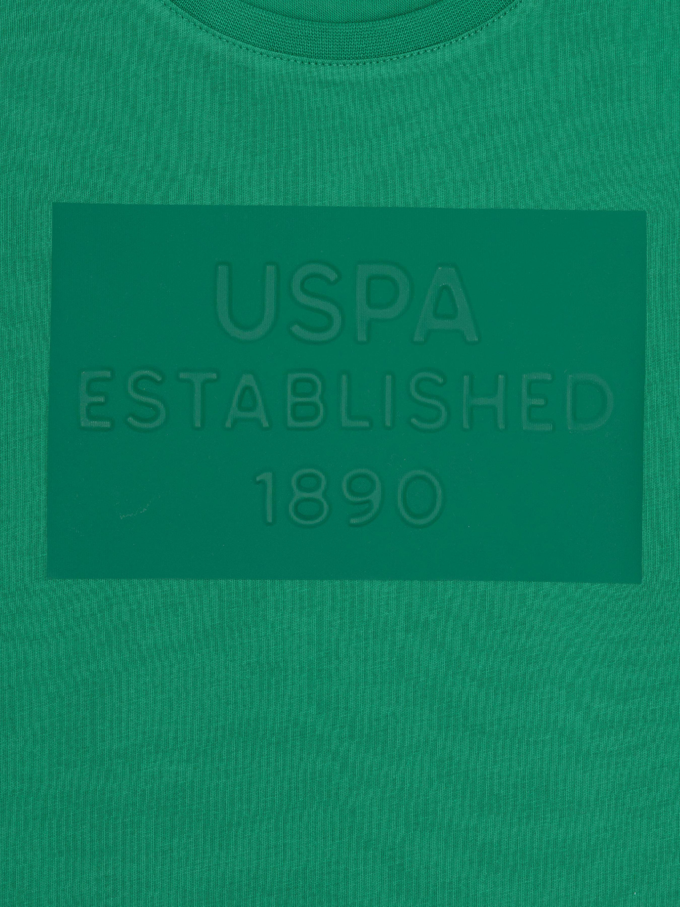 Футболка US Polo модель G083SZ011.000.1574147.VR054 Фото