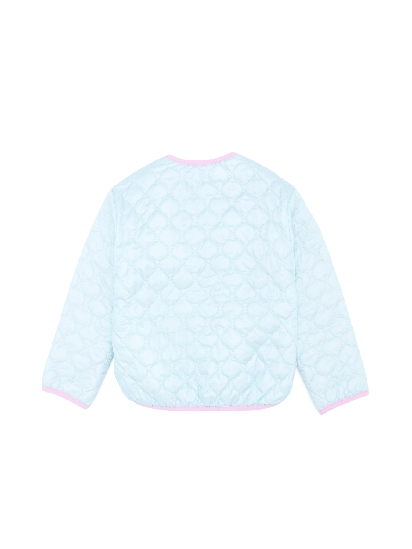 Демисезонная куртка US Polo модель G084SZ0MS.000.1554769.VR211 Фото