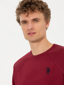 Свитшот US Polo модель G081SZ082.000.1499039.VR223 Фото