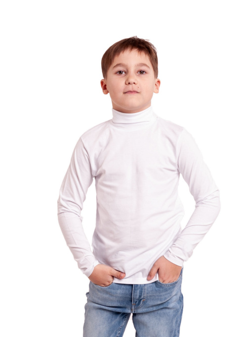 Водолазка Наталюкс модель 41540232000 Фото