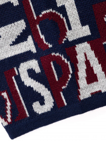 Шапка US Polo модель A083SZ0DH.000.1472280.VR033 Фото