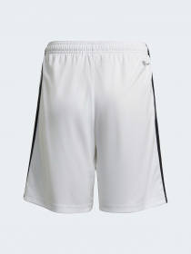 Шорты спортивные Adidas модель HC3504 Фото