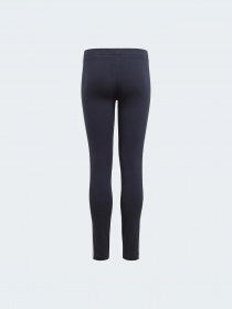 Леггинсы Adidas модель GN4063 Фото