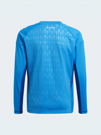 Спортивная кофта Adidas Tiro модель HC1294 Фото