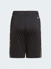 Спортивні шорти Adidas модель HG6829 Спортивні шорти Adidas модель HG6829 Фото