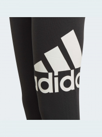 Спортивні леггінси Adidas модель GN4081 Фото