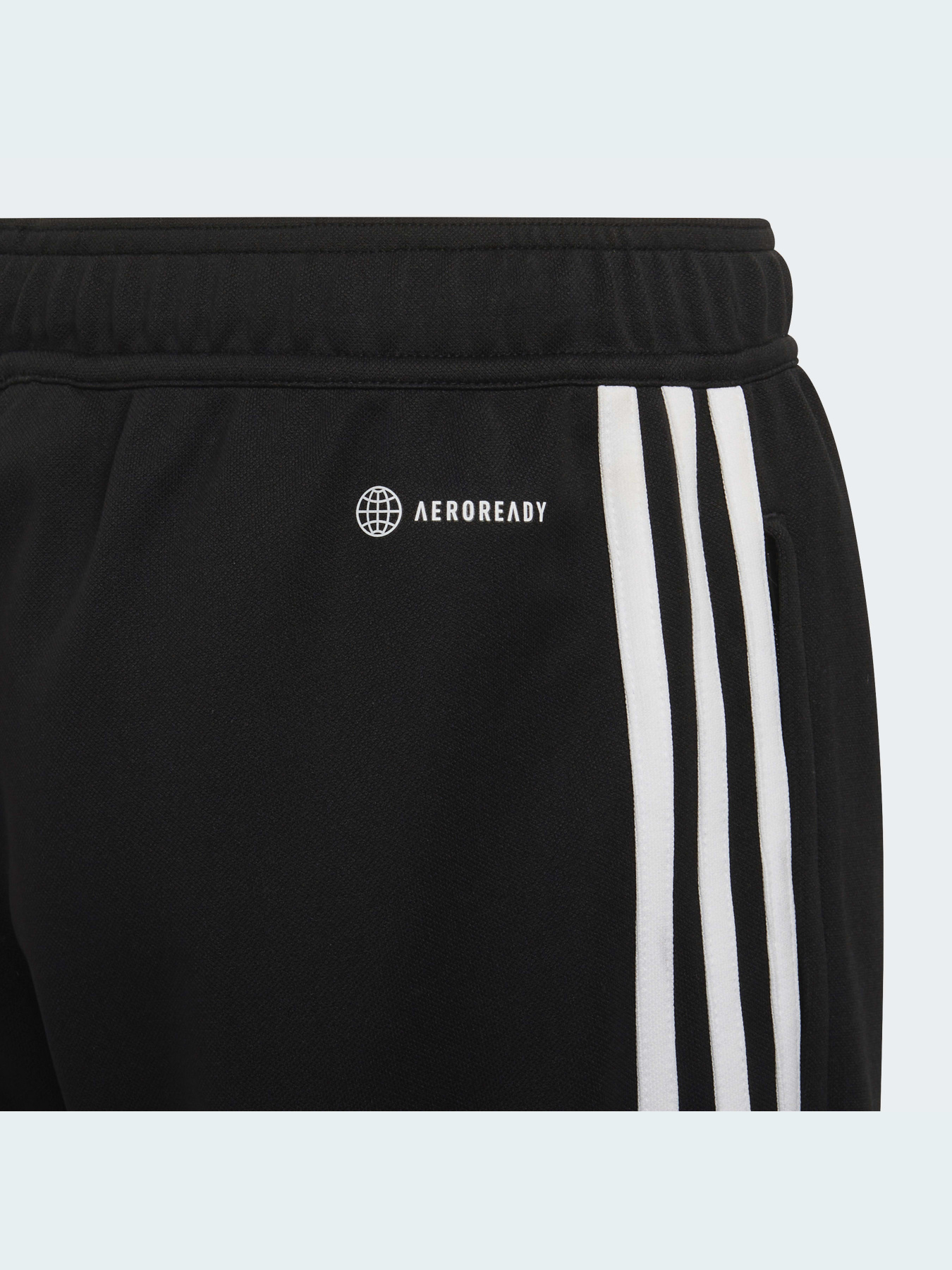 Штаны спортивные Adidas Condivo модель HA6248 Фото