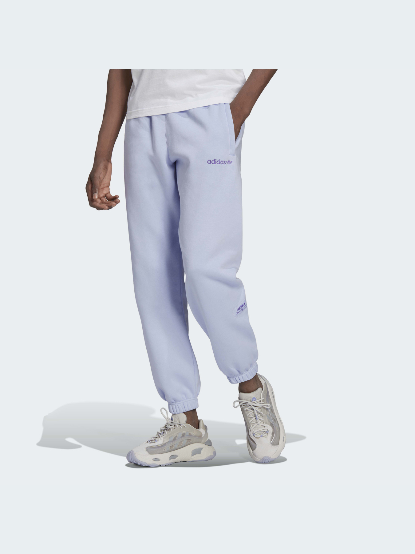 Спортивні штани Adidas модель HM2668 Фото