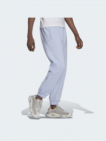 Спортивні штани Adidas модель HM2668 Фото