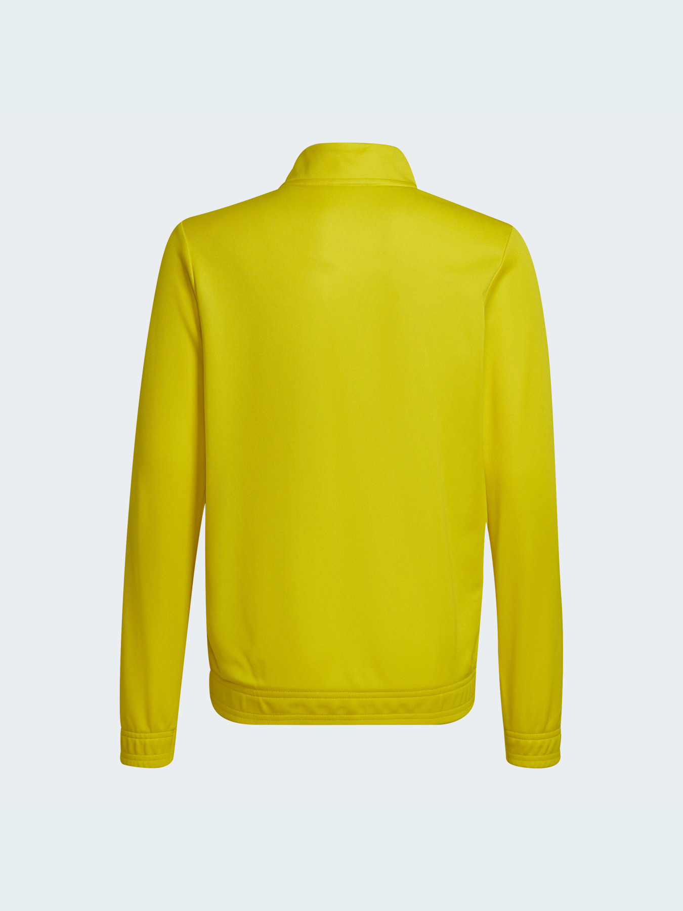 Спортивная кофта Adidas модель HI2139 Фото