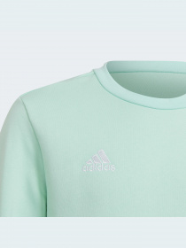 Кофта спортивна Adidas модель HC5042 Фото