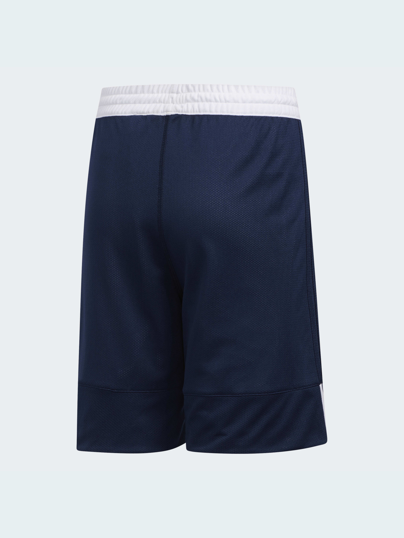 Шорти спортивні Adidas модель DY6626 Фото