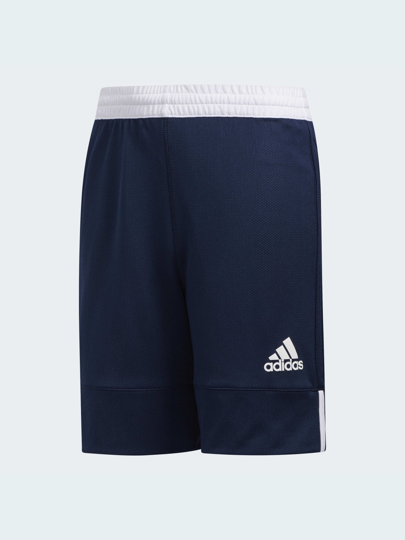 Шорты спортивные Adidas модель DY6626 Фото