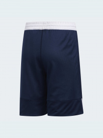 Шорты спортивные Adidas модель DY6626 Фото