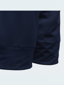 Шорты спортивные Adidas модель DY6626 Фото