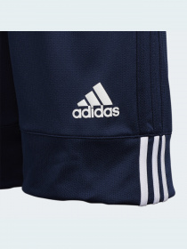 Шорты спортивные Adidas модель DY6626 Фото