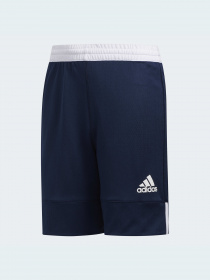 Шорты спортивные Adidas модель DY6626 Фото