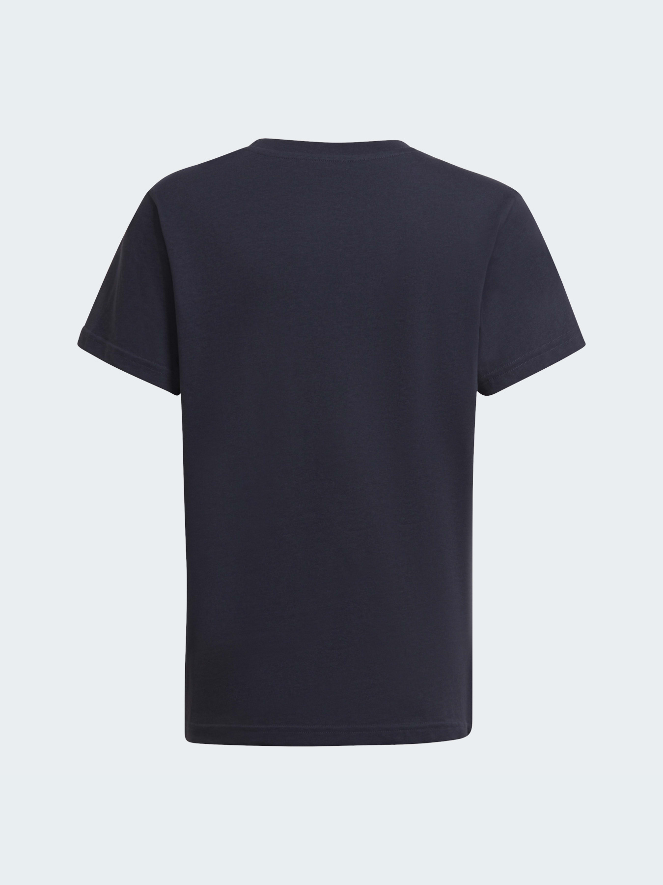 Футболка Adidas Adicolor модель HC9601 Фото