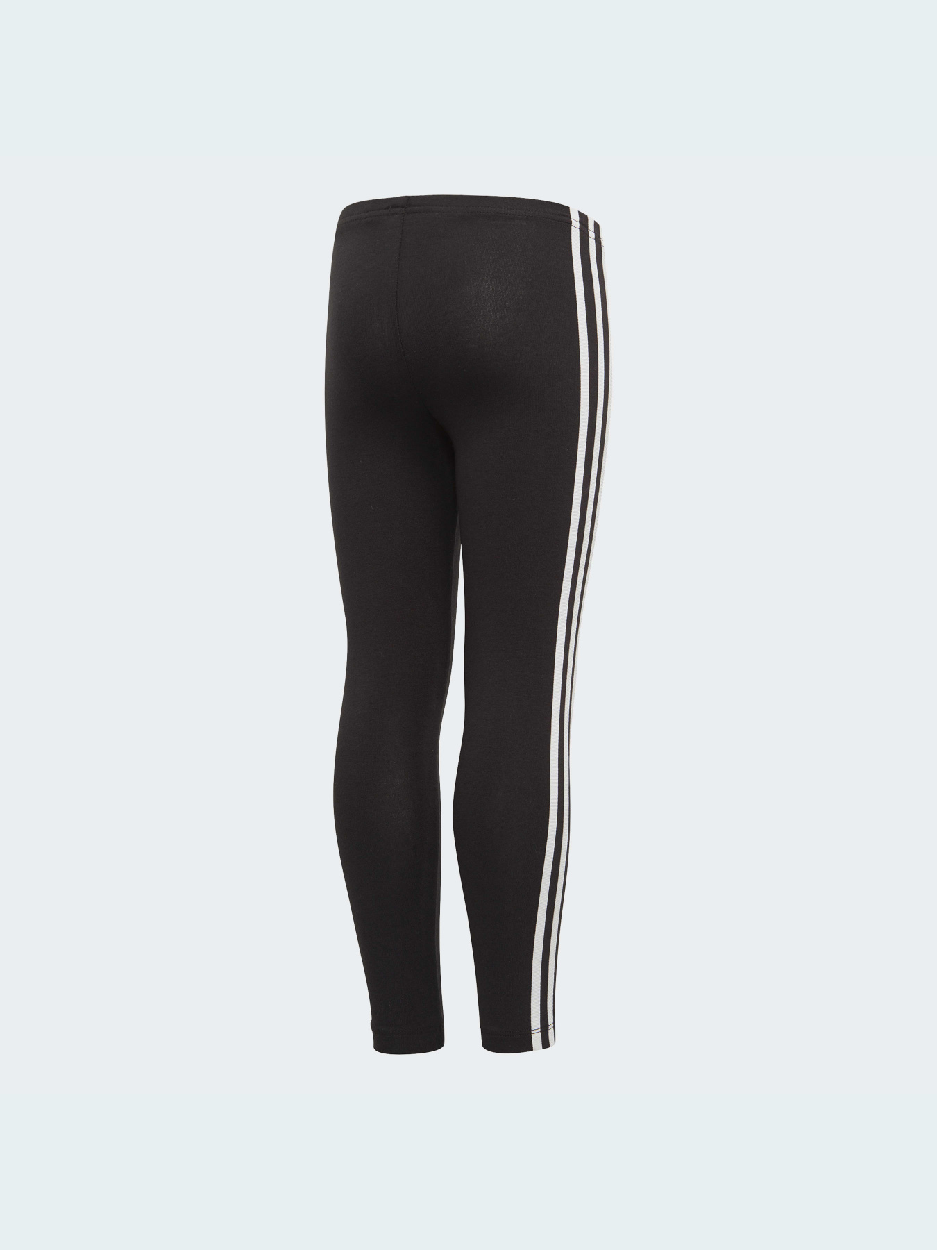 Леггинсы Adidas модель ED7737 Фото