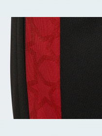 Спортивні штани Adidas модель HI3794 Фото