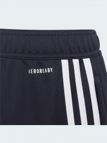 Штани спортивні Adidas модель GT1348 Фото