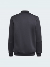 Кофта спортивна Adidas модель GR2908 Фото