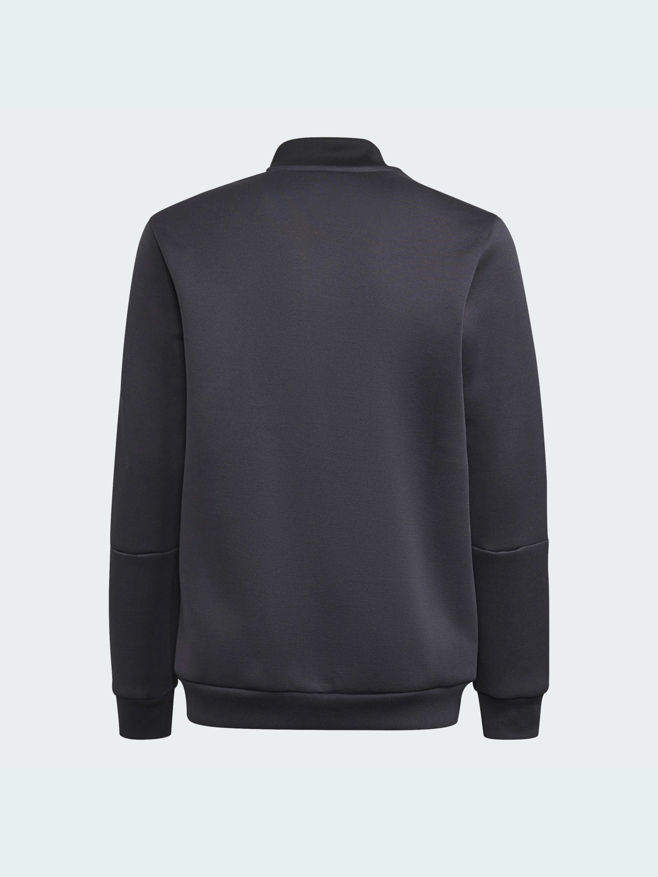 Спортивная кофта Adidas модель GR2908 Фото