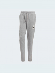 Джогери Adidas модель IA9369 Фото