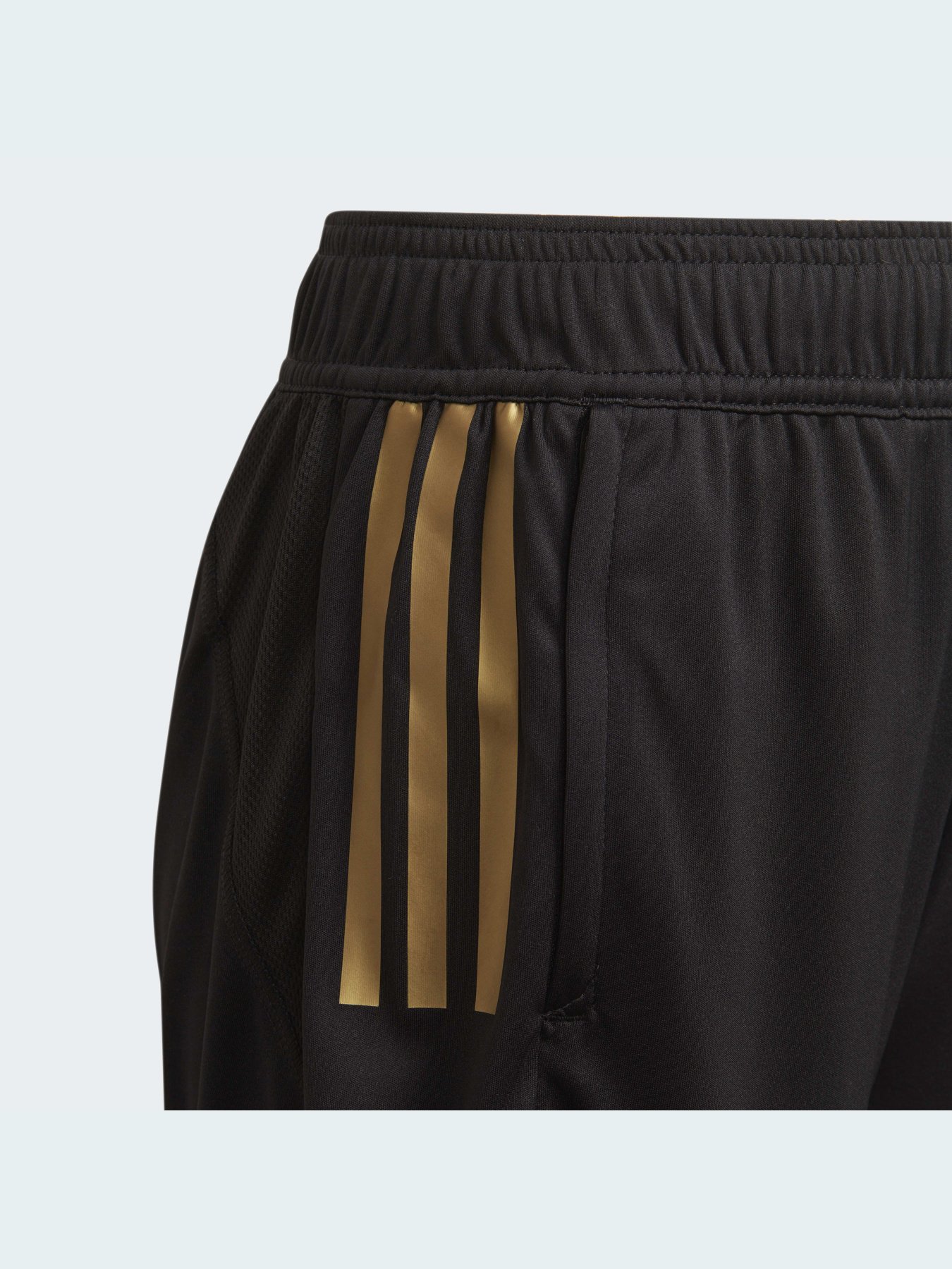 Шорти спортивні Adidas модель HF3998 Фото