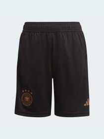 Шорти спортивні Adidas модель HF3998 Фото