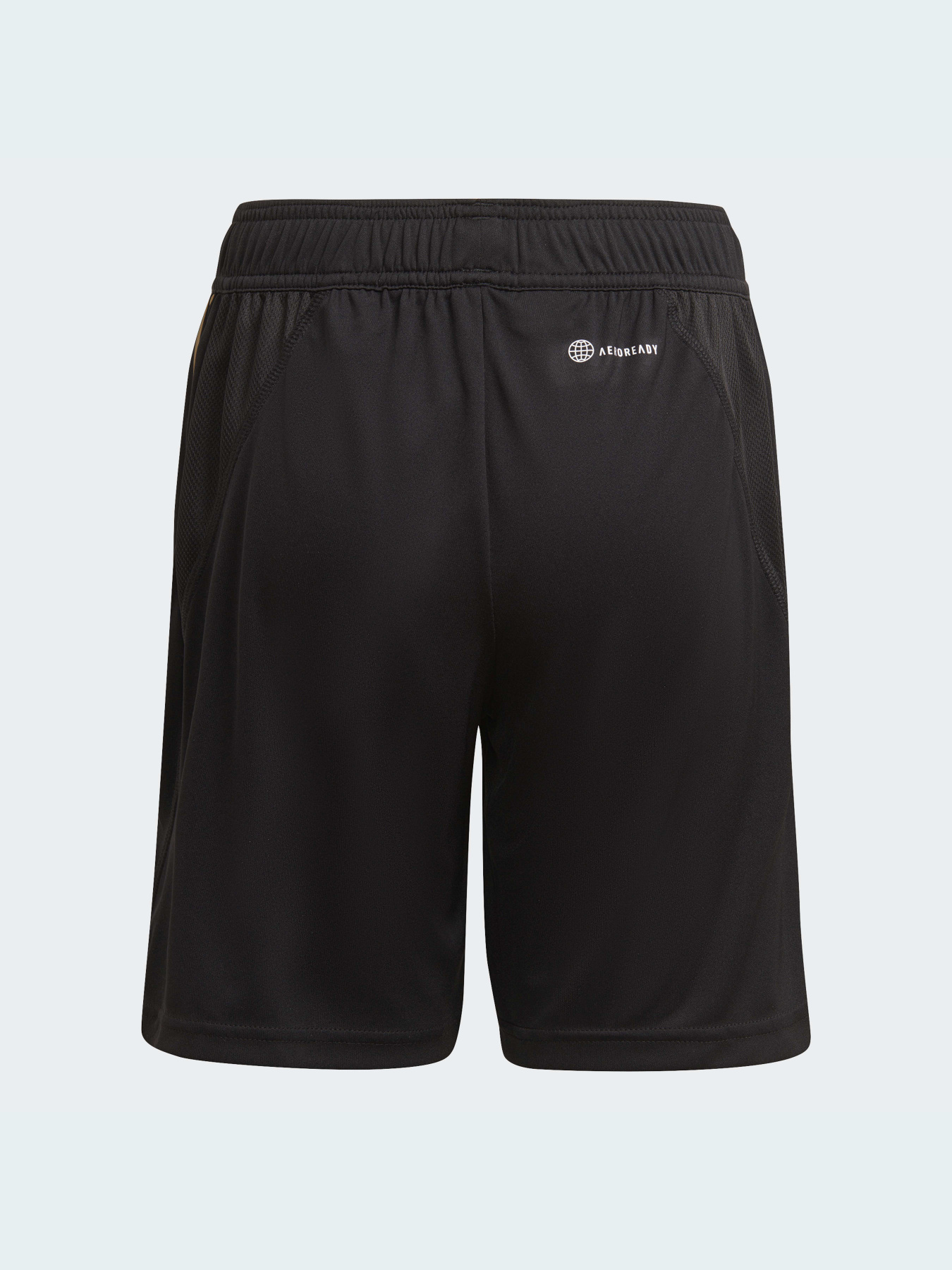 Спортивні шорти Adidas модель HF3998 Фото