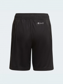 Спортивні шорти Adidas модель HF3998 Фото