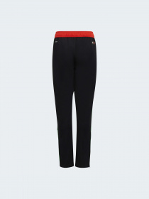 Штаны спортивные Adidas Tiro модель HC9801 Фото