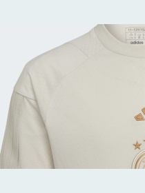 Спортивная футболка Adidas модель HF4001 Фото