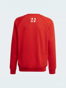 Спортивна кофта Adidas модель HF1353 Спортивна кофта Adidas модель HF1353 Фото