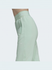 Штаны спортивные Adidas модель HG1329 Фото