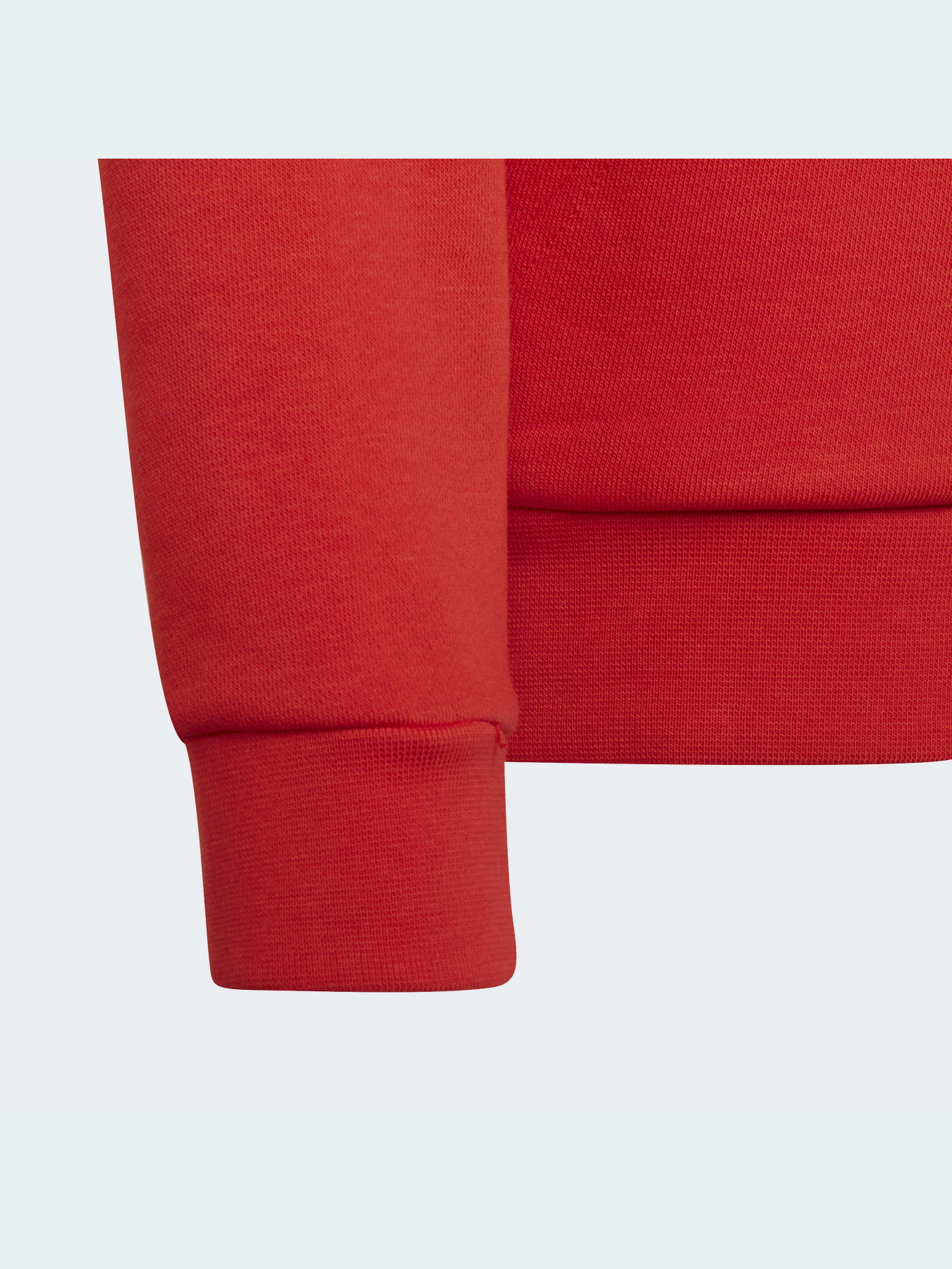 Худи Adidas Adicolor модель HD2020 Фото