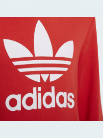 Худи Adidas Adicolor модель HD2020 Фото
