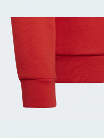 Худи Adidas Adicolor модель HD2020 Фото