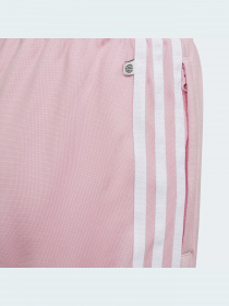 Джогери Adidas Adicolor модель HD2046 Фото