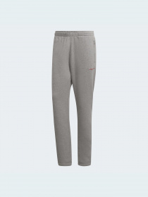 Повседневные штаны Adidas Graphics модель HF4894 Повседневные штаны Adidas Graphics модель HF4894 Фото