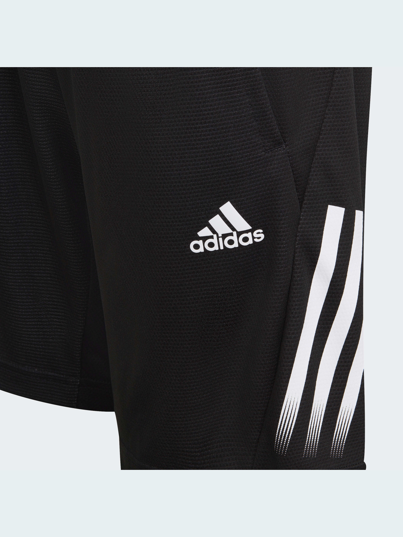 Шорты Adidas модель GM8479 Фото