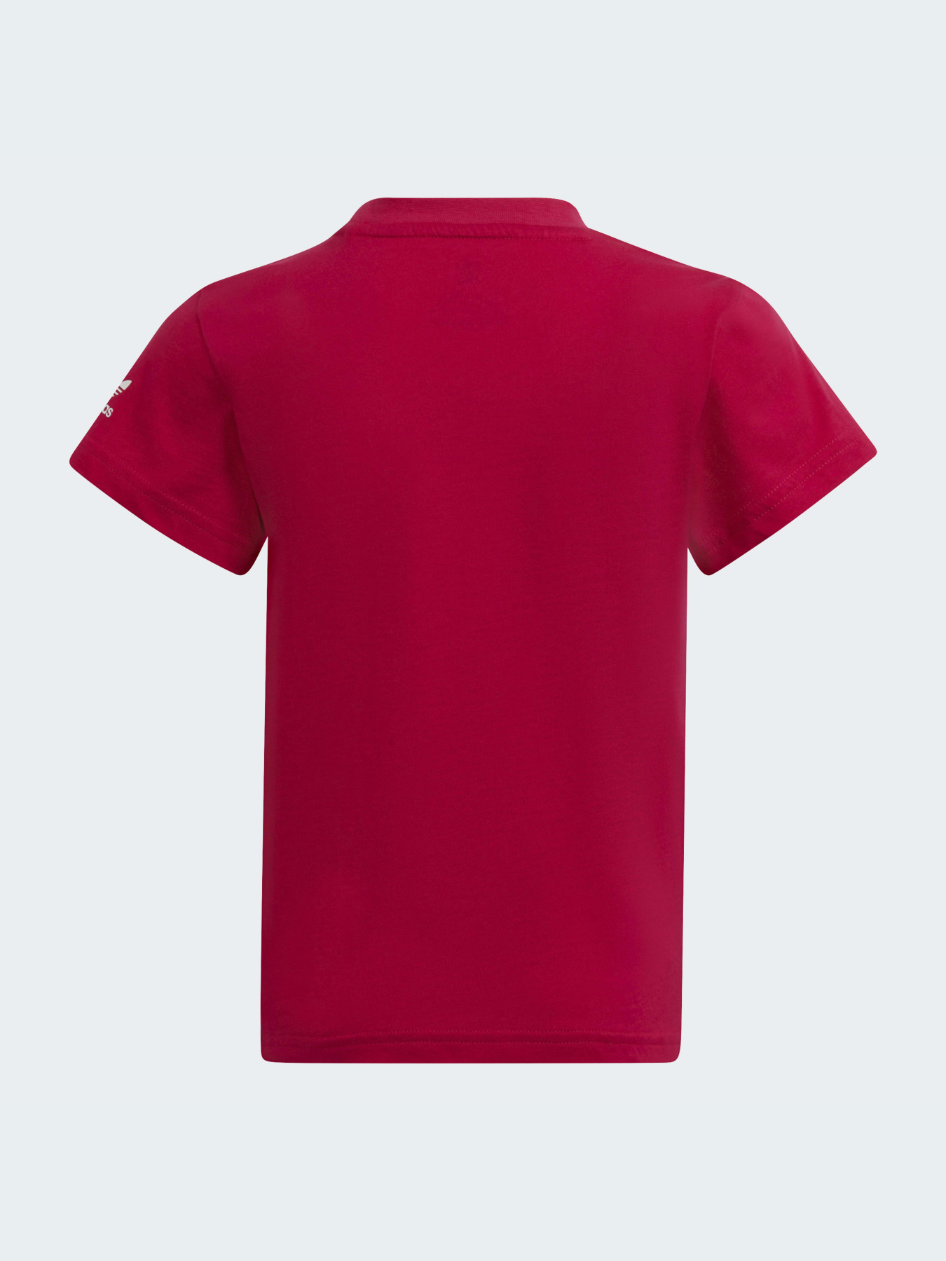 Футболка Adidas Adicolor модель HE6837 Фото