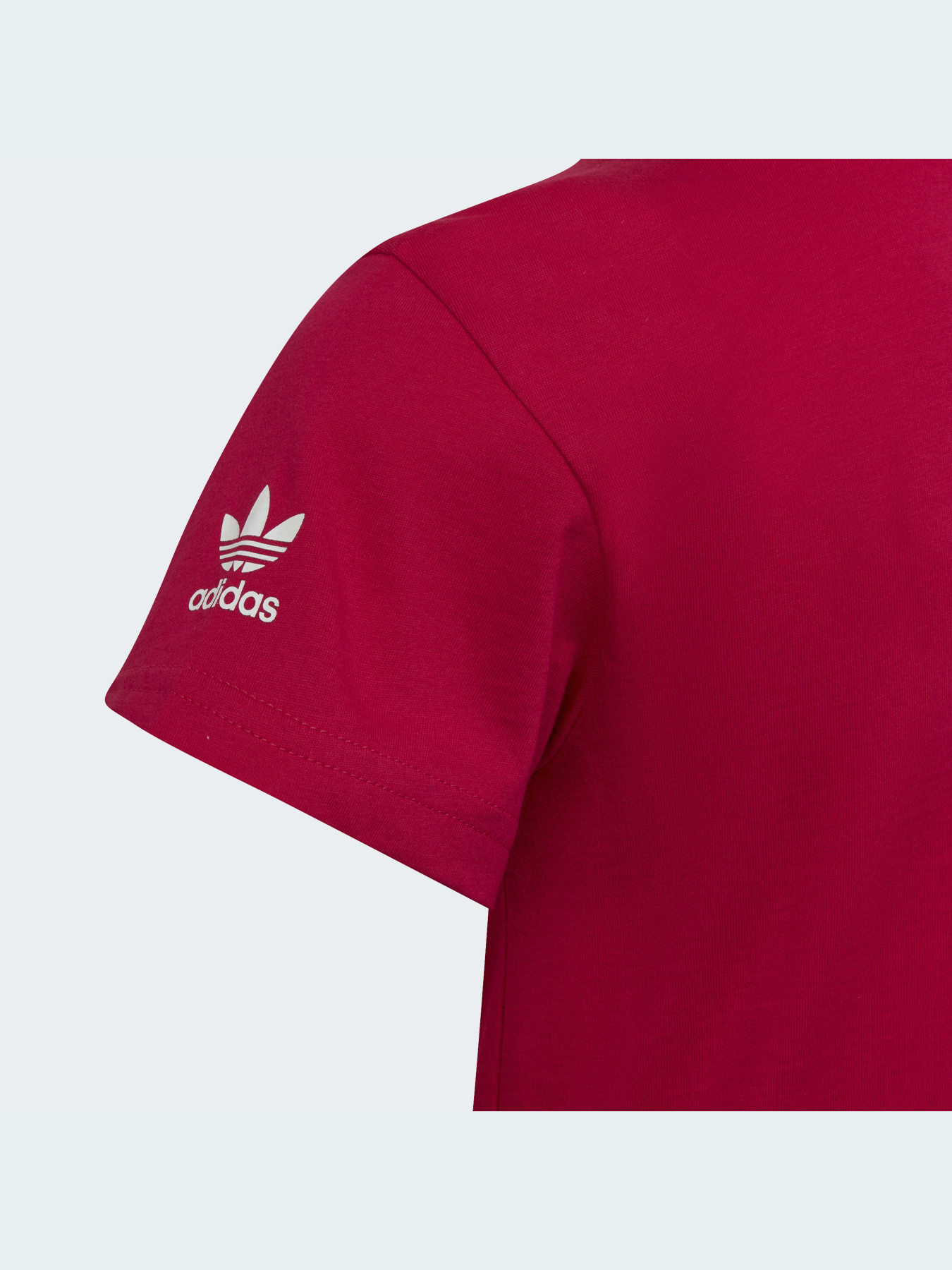 Футболка Adidas Adicolor модель HE6837 Фото