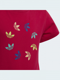 Футболка Adidas Adicolor модель HE6837 Фото