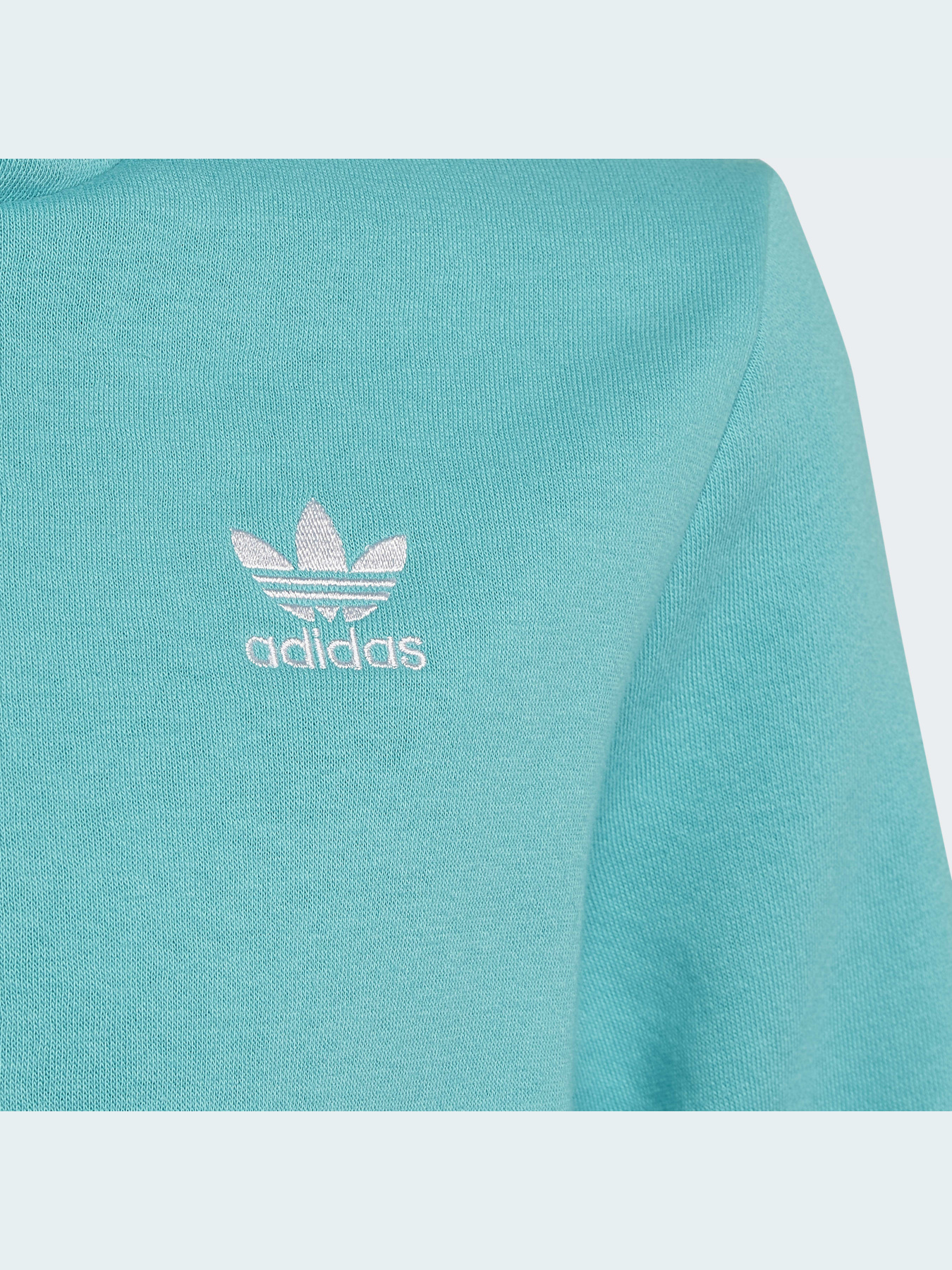 Худи Adidas Adicolor модель HS8871 Фото