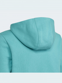 Худи Adidas Adicolor модель HS8871 Фото