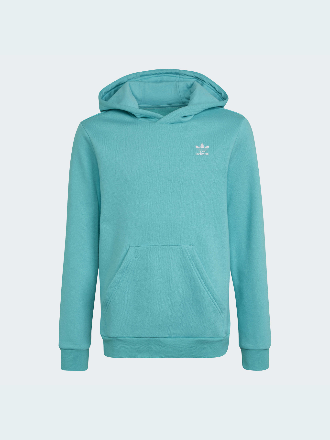 Худи Adidas Adicolor модель HS8871 Худи Adidas Adicolor модель HS8871 Фото