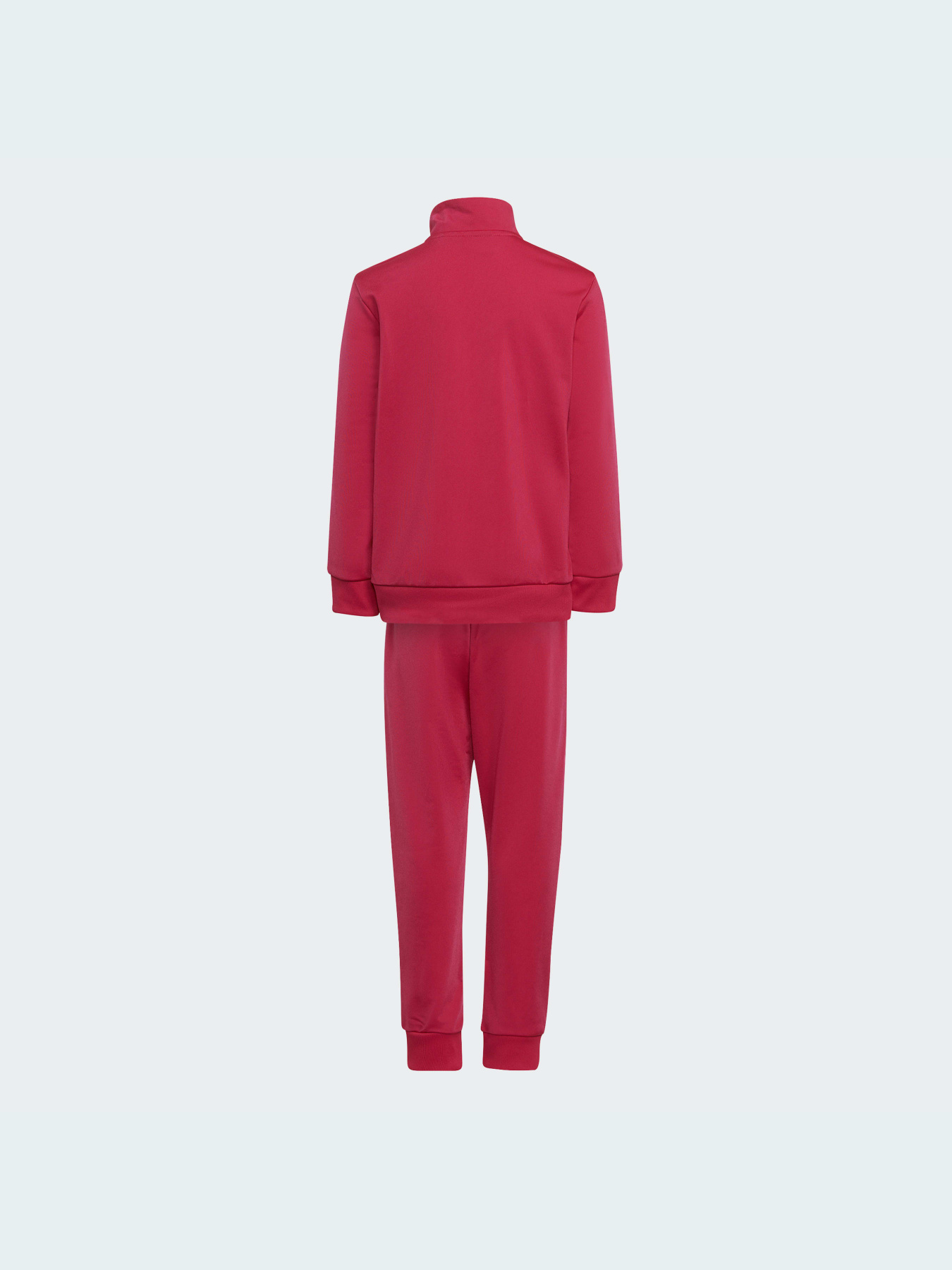 Спортивный костюм Adidas Adicolor модель HB9509 Фото